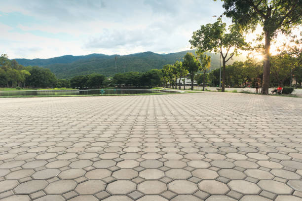 Best Interlocking Driveway Pavers  in Texkana, AR