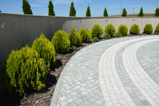Best Driveway Pavers Cost  in Texkana, AR